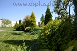 landshaftniy-dnepropetrovsk (2)